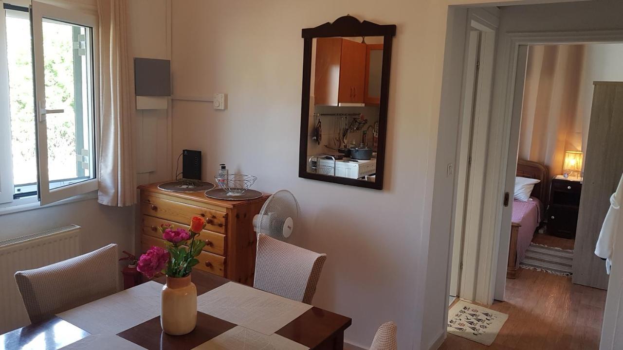 Olga'S Cozy Nest , Apartment In Ano Korakiana. Room photo